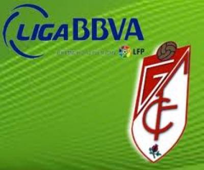 Vendo bolli bic y cedo abono del Granada CF por solo 200 euros.