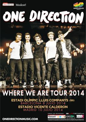 ENTRADA PISTA CONCIERTO ONE DIRECTION (WWAT 2014) DÍA 11/07/2014 A LAS 18:00 HORAS