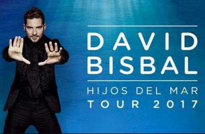 2 ENTRADAS DAVID BISBAL ALICANTE GRADA